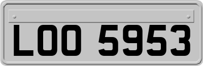 LOO5953