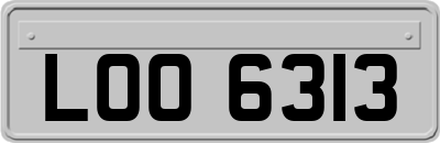 LOO6313