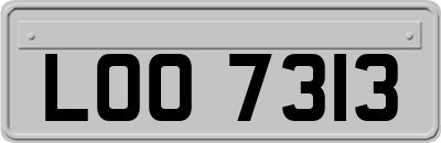 LOO7313