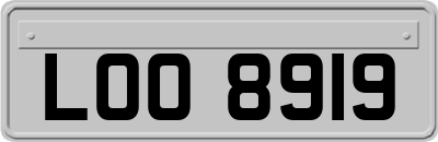 LOO8919