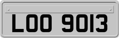 LOO9013