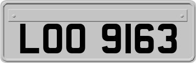 LOO9163