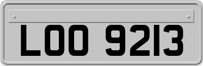 LOO9213