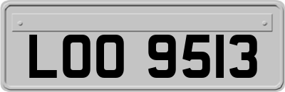 LOO9513