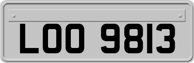 LOO9813