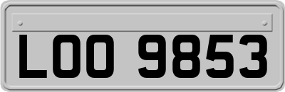 LOO9853
