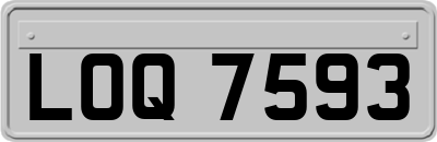 LOQ7593