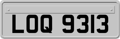 LOQ9313