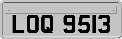 LOQ9513