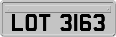 LOT3163