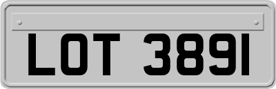 LOT3891