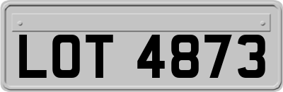 LOT4873
