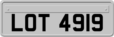 LOT4919
