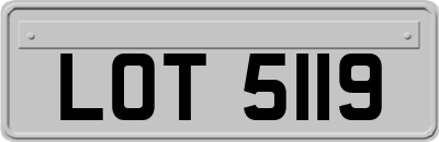 LOT5119