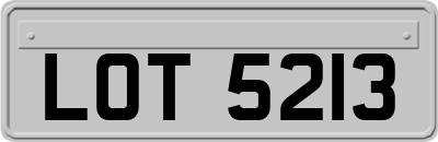 LOT5213
