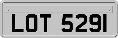LOT5291