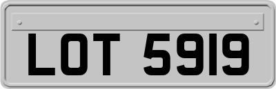 LOT5919