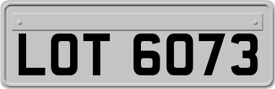 LOT6073