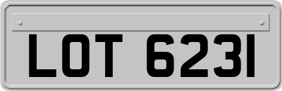 LOT6231