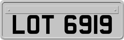 LOT6919