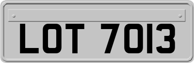 LOT7013