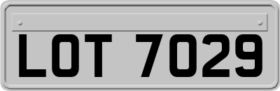 LOT7029