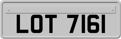 LOT7161