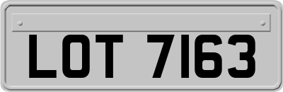 LOT7163