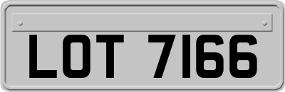 LOT7166