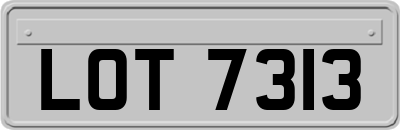 LOT7313
