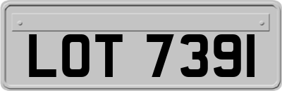 LOT7391