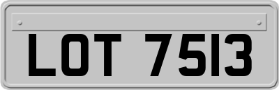 LOT7513
