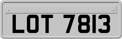 LOT7813