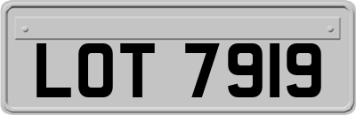 LOT7919