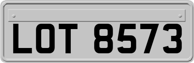 LOT8573