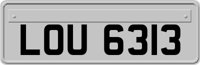 LOU6313