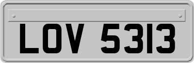 LOV5313