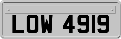 LOW4919