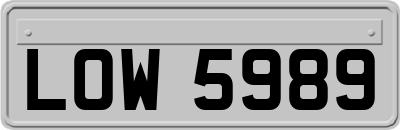LOW5989