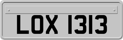 LOX1313