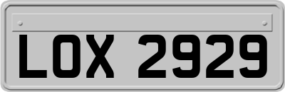 LOX2929