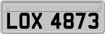 LOX4873