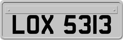 LOX5313