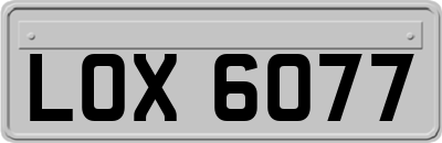 LOX6077