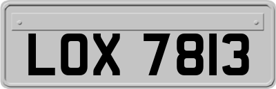 LOX7813