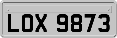 LOX9873
