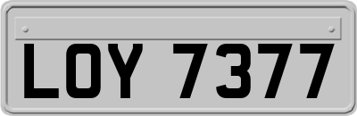 LOY7377