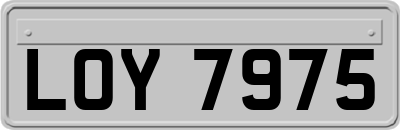LOY7975