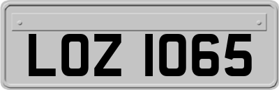 LOZ1065