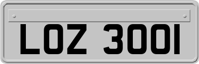 LOZ3001